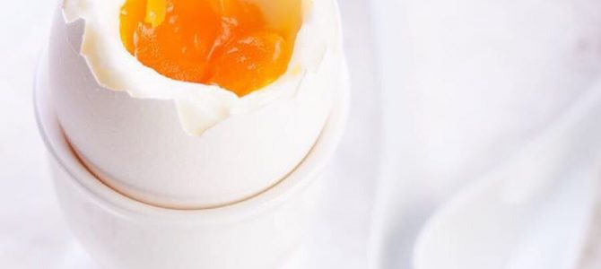 Os benefícios do Ovo